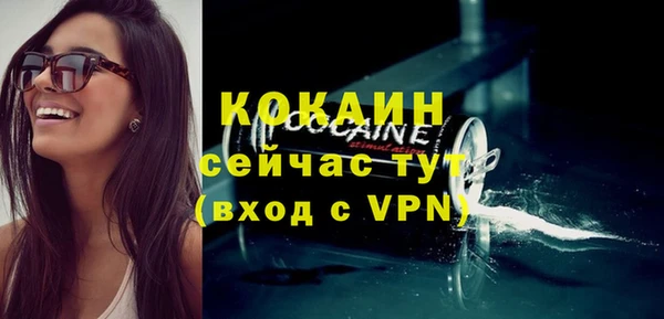 стафф Алексин