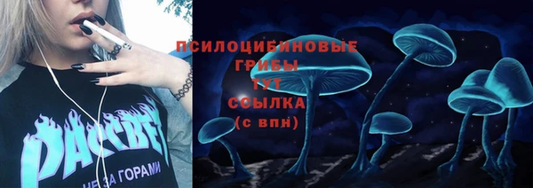 дживик Алексеевка