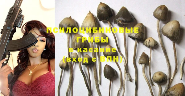 дживик Алексеевка