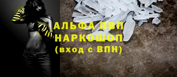 стафф Алексин