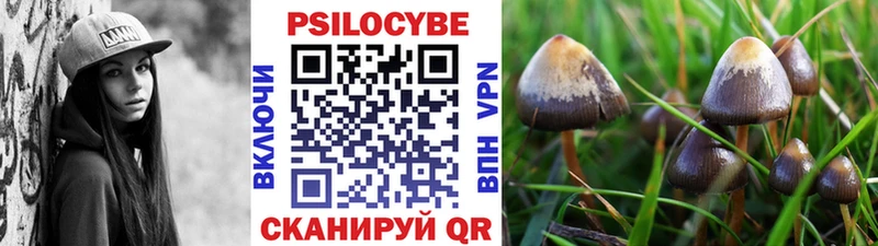 Галлюциногенные грибы Psilocybine cubensis  как найти закладки  Артёмовск 
